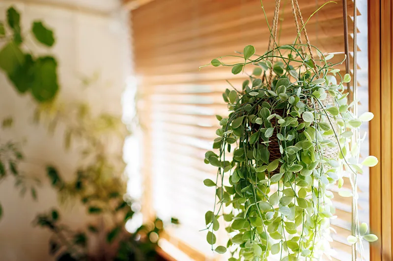 各種レッスンの料金をわかりやすく説明