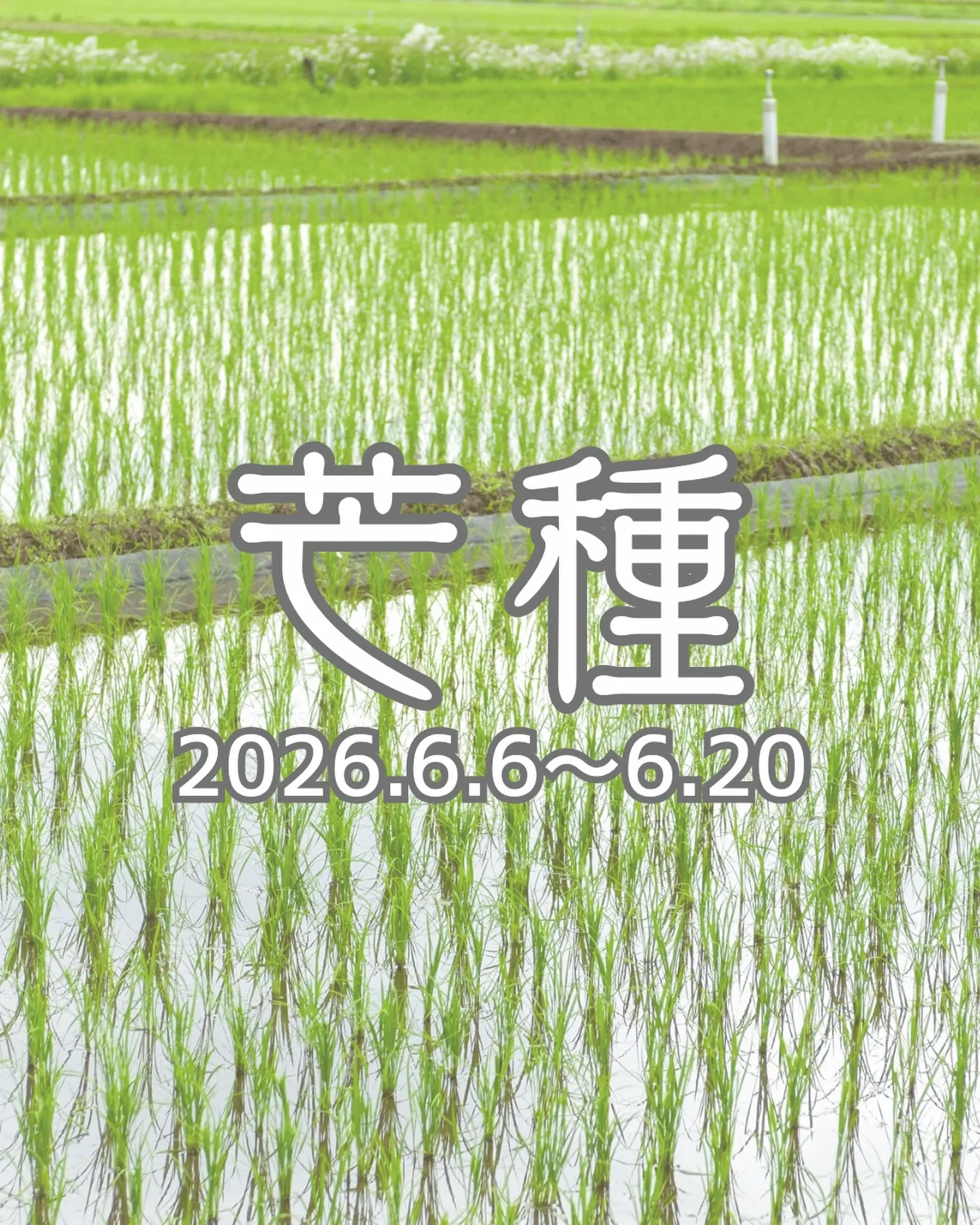 【二十四節気の過ごし方】