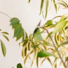 カウンセリング