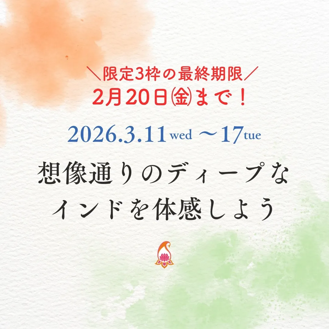 🇮🇳✨ インド旅 3/11–17