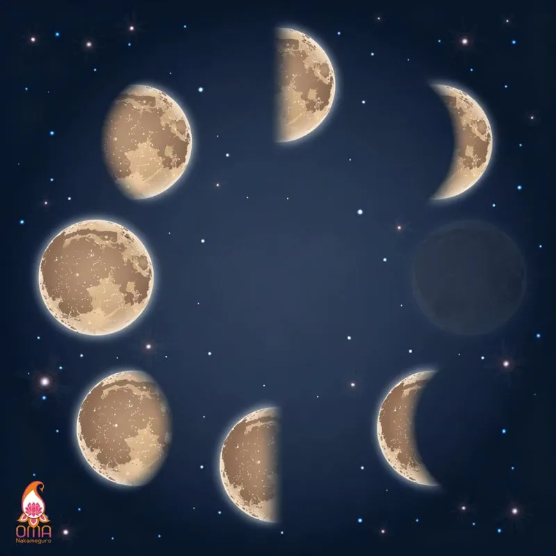 年に一度の、月とキャンドルの聖域🕯🌙